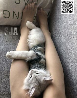 mm625欧美性爱在线观看_BD韩语免费高清观看